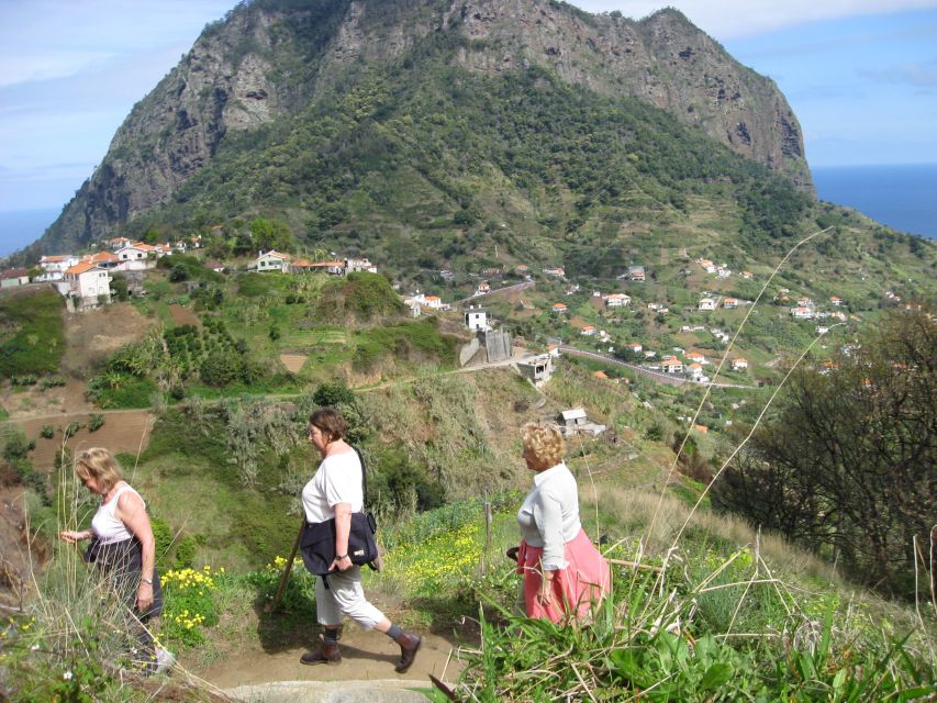 Referta & Castelejo: Half-Day Morning Walk - Views toward Porto da Cruz and the North Coast
