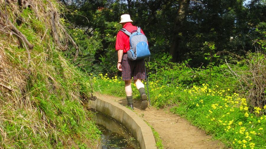 Referta / Castelejo - Levada Walk - Key points to know before you go