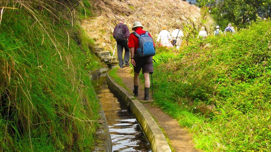 Referta / Castelejo - Levada Walk - Following Madeira’s old water paths