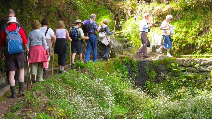 Referta / Castelejo - Levada Walk - Native plants, farm plots, and northern coast views