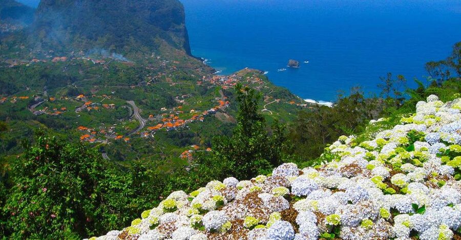 Referta / Castelejo - Levada Walk - A cafe, poncha, and a relaxed finish