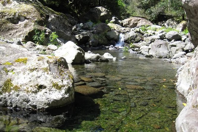 Referta Castelejo Levada Walk from Funchal - A gentle walk through Refertas and Porto da Cruz