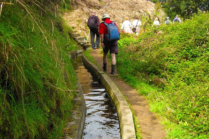 Referta Castelejo Levada Walk from Funchal - How hard is the 5.5-kilometer walk?