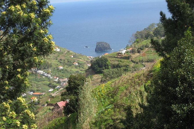 Referta Castelejo Levada Walk from Funchal - Who should book this Madeira walk?