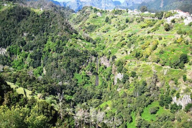 Referta Castelejo Levada Walk from Funchal - What you see along Levada do Castelejo
