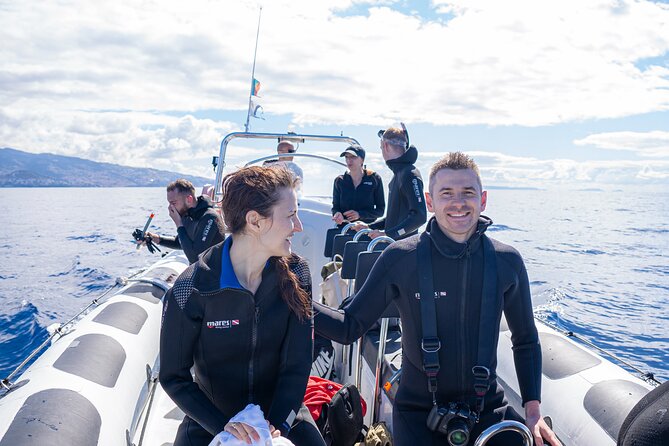 Responsible Whales and/or Dolphins Watching Tour - Searching for whales and dolphins