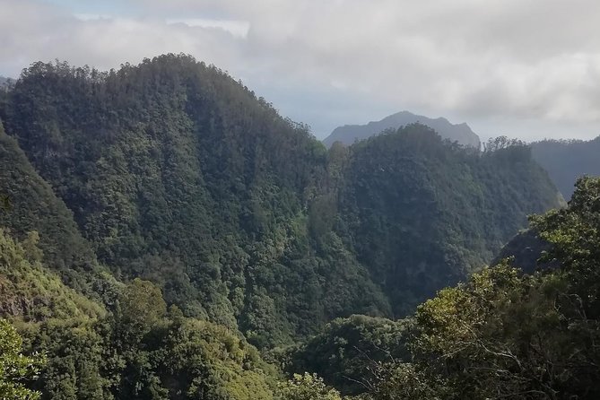 Ribeiro Frio - Portela - What the small group means