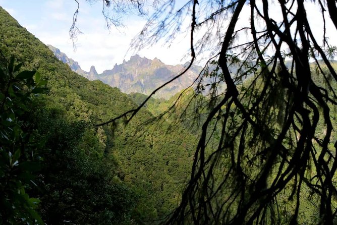 Ribeiro Frio - Portela - The final drink stop