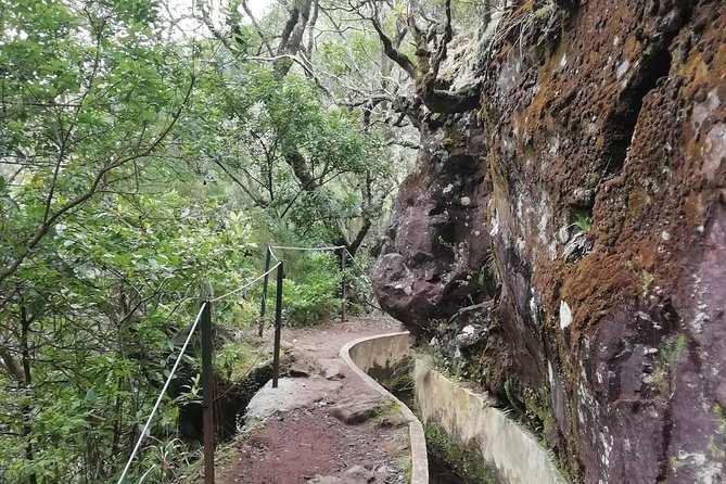 Ribeiro Frio - Portela - Is $54.01 a fair price?