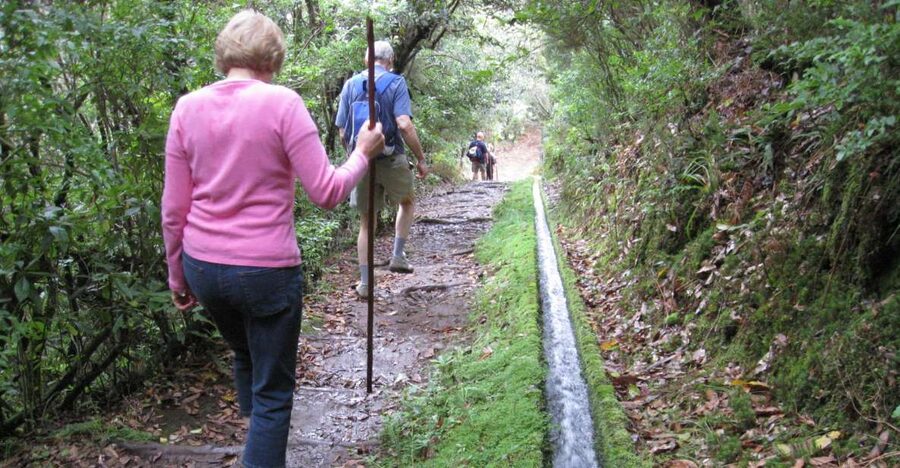 Ribeiro Frio / Portela - Levada Walk - Booking details worth knowing