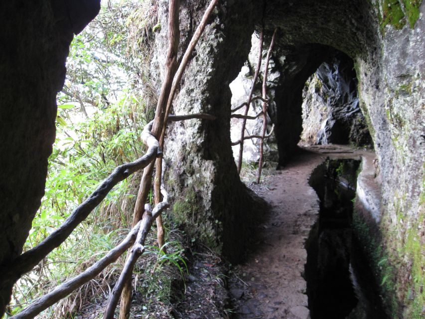 Ribeiro Frio / Portela - Levada Walk - Walking through Madeira’s laurel forest
