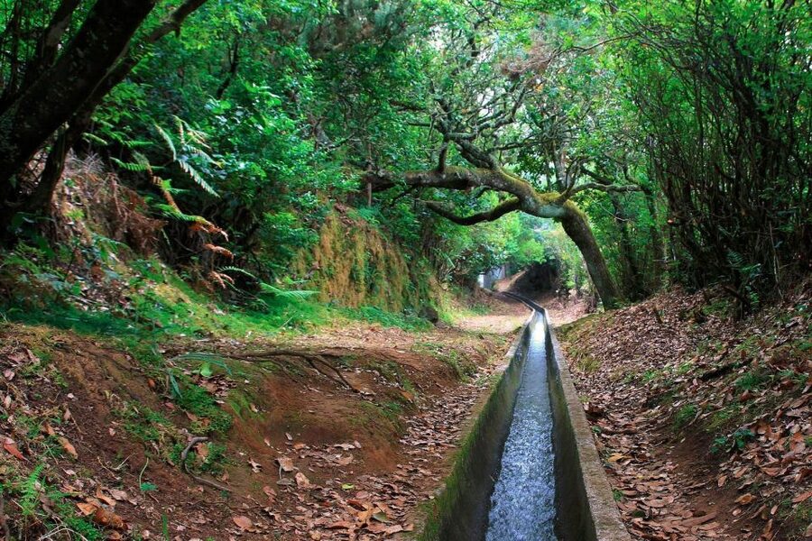 Ribeiro Frio / Portela - Levada Walk - Lamaceiros and the view toward Porto da Cruz
