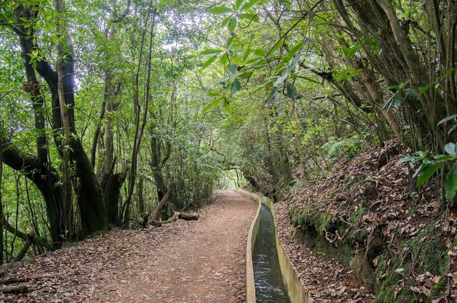 Ribeiro Frio / Portela - Levada Walk - Is $50 a fair price?