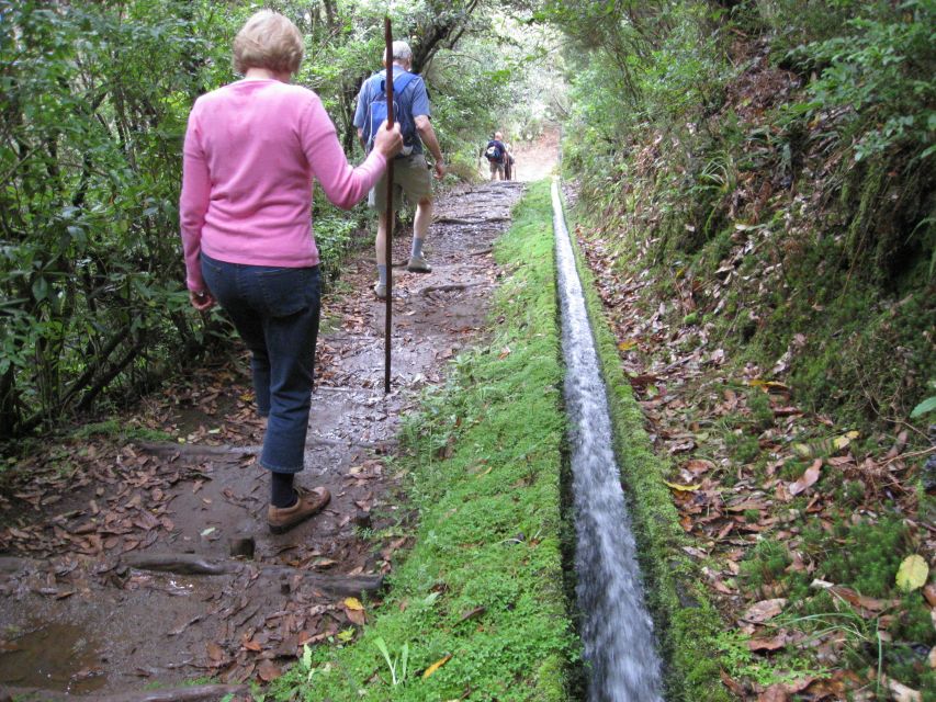 Ribeiro Frio / Portela - Levada Walk - Ribeiro Frio’s garden and trout pond