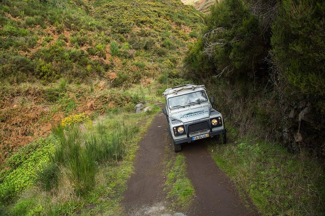 SANTANA Combo Expedition (Jeep & Levada Walk) - Shared Tour - Key points to know before booking