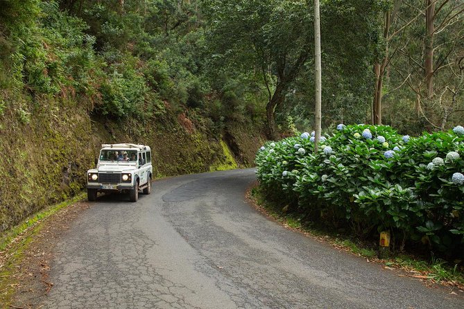 SANTANA Combo Expedition (Jeep & Levada Walk) - Shared Tour - Why this tour works for a first day in Madeira