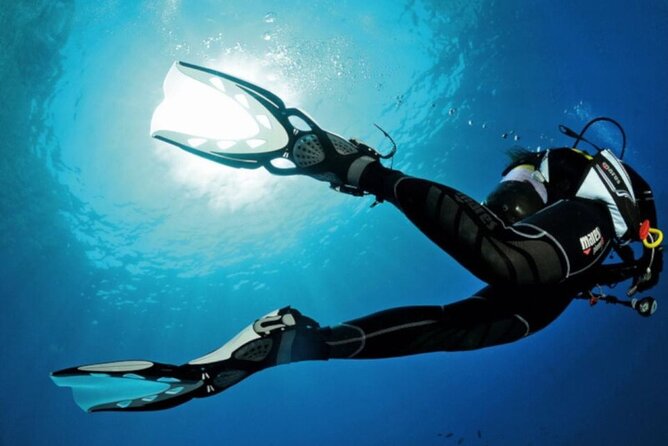 Scuba Diving Experience for Beginners in Ponta de São Lourenço - Why Ponta de São Lourenço works well for beginners