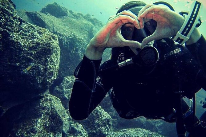 Scuba Diving Experience in Madeira - A good fit for families and first-timers