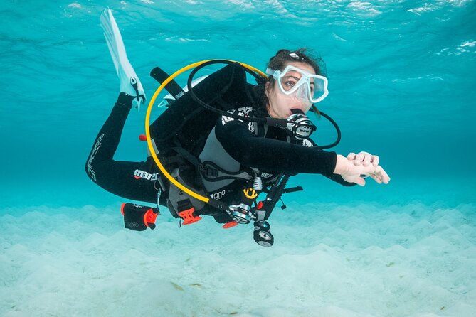 Scuba Diving Experience in Madeira - What instructors add to the experience