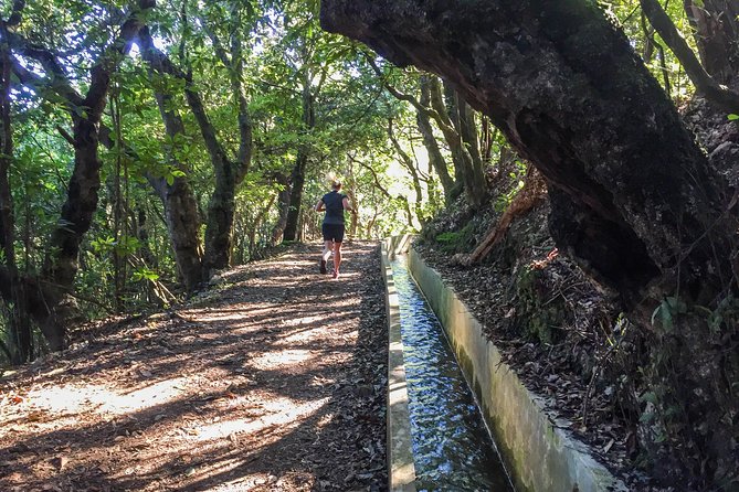 Sea 2 Mountain Running Tour (Moderate-Hard) - The return toward the shore