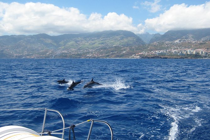 Seaborn Catamaran trips - Setting out from Funchal Marina