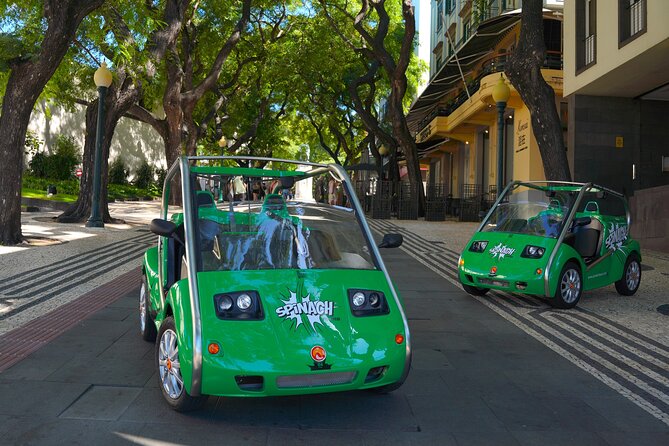 Self-Guided Sightseeing Tour on an Eletric Car | Funchal - Funchal marina and the city’s sea connection