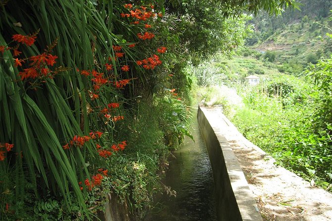 Serra D'Água Valley - Levada Walk - What the guide adds to the experience