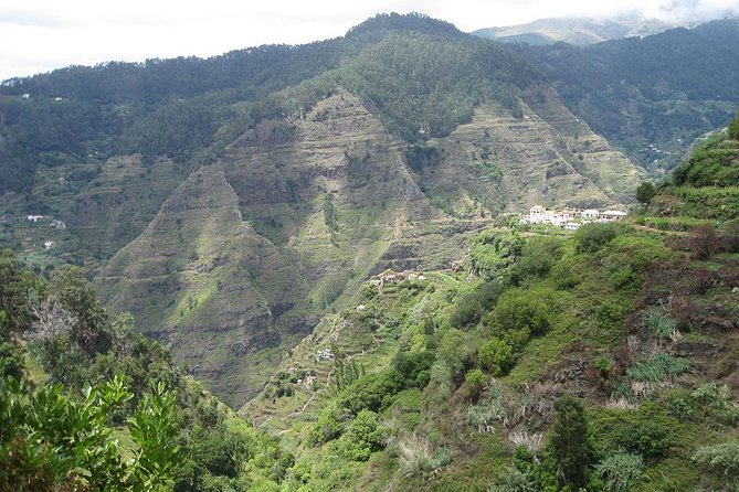 Serra D'Água Valley - Levada Walk - Is $39.65 good value?