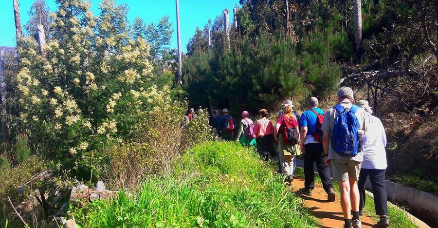 Serra de Água Valley Levada Walk - Key points to know before booking