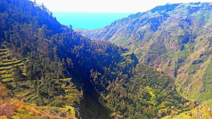 Serra de Água Valley Levada Walk - Practical advice for a smoother outing