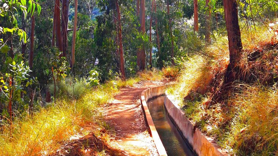 Serra de Água Valley Levada Walk - What the 5km walk feels like