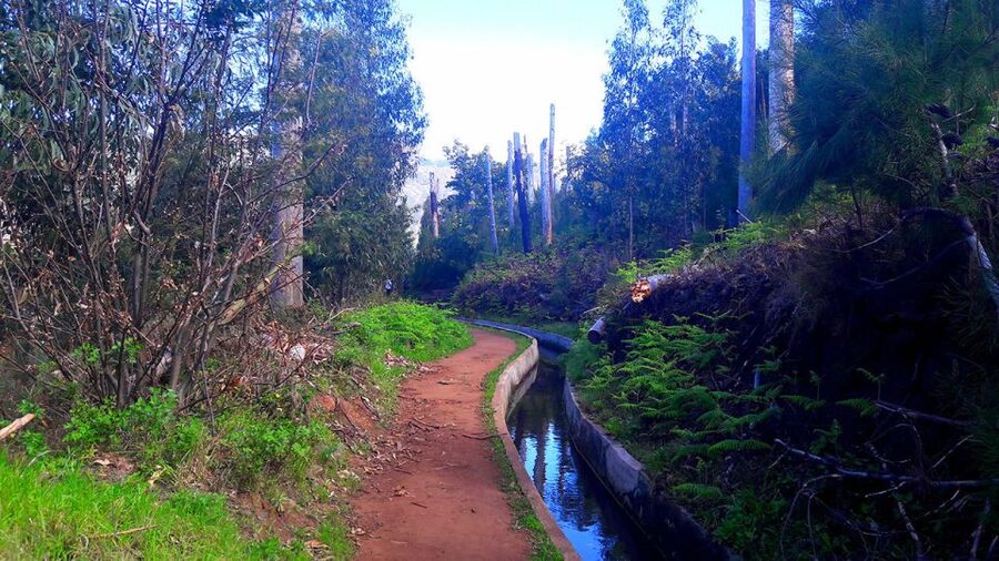 Serra de Água Valley Levada Walk - Who will enjoy this walk most?