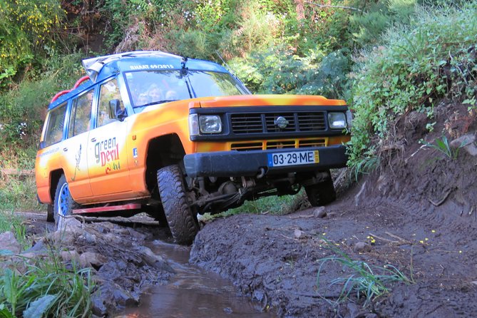 Shore Excursion - Santana & Peaks 4x4 tour - Faial brings brief stops and road-trip variety