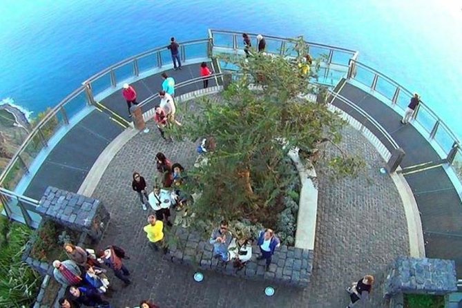 Signature Wine Tastings, Skywalk, Nature 4x4 Open Roof Expedition - Why this tour works so well in Madeira
