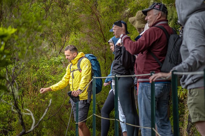 Skywalk 4x4 Experience and Rabacal 25 Fountains Levada Walk - Rabaçal and the 25 Fontes walk