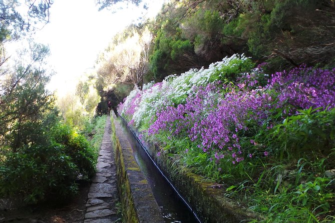 Skywalk 4x4 Experience and Rabacal 25 Fountains Levada Walk - Lunch at the local restaurant