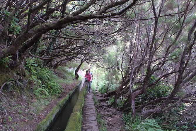 Skywalk 4x4 Experience and Rabacal 25 Fountains Levada Walk - Is $41 good value?