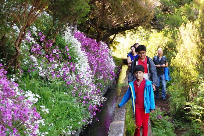 Skywalk 4x4 Experience and Rabacal 25 Fountains Levada Walk - Who should book this experience?