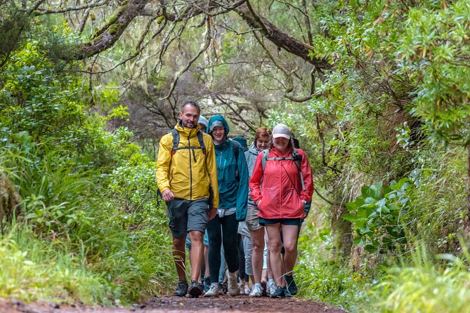Skywalk 4x4 Experience and Rabacal 25 Fountains Levada Walk - The tunnel is part of the adventure