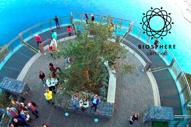 Skywalk, Amazing Views & Wine Tasting in Open Roof 4x4 Adventure - Cabo Girão: Madeira’s glass-floor viewpoint