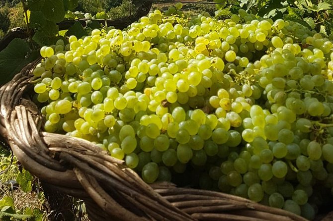 Skywalk with Wines Tasting and Vineyards Half day 4x4 Adventure - Who should book this experience?