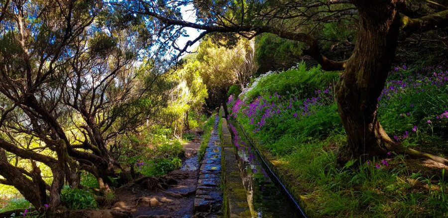Small Group Walks Rabaçal 25 Fontes - The tunnel, wet footing, and narrow sections
