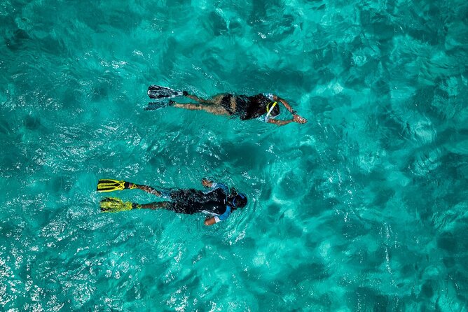 Snorkelling Trip at Ponta de São Lourenço Protected Area - A short boat ride with a big coastal view