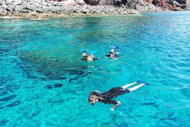 Snorkelling Trip at Ponta de São Lourenço Protected Area - Time in the water, and what two and a half hours really means