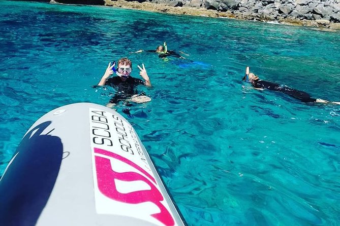 Snorkelling Trip at Ponta de São Lourenço Protected Area - Price, group size, and the real value