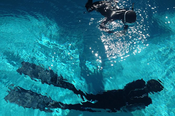 Snorkelling Trip at Ponta de São Lourenço Protected Area - What you might see beneath the cliffs