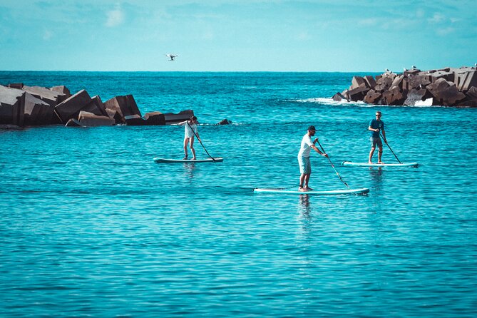 Stand Up Paddle Private Lesson in Calheta Beach - Why the Private Format Affects the Price