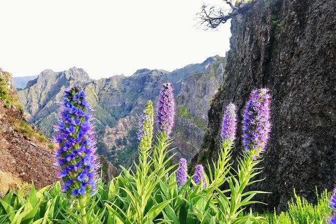 Sunrise Guided Hike PR1 Pico do Areeiro Pico Ruivo small group - The walk from Pico do Areeiro toward Pico Ruivo