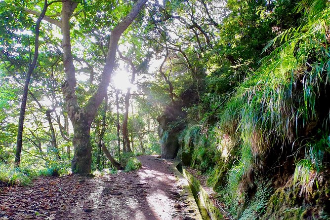 Sunrise Tour @ Pico Do Areiro | Half Day 4x4 Tour - Guides make the difference