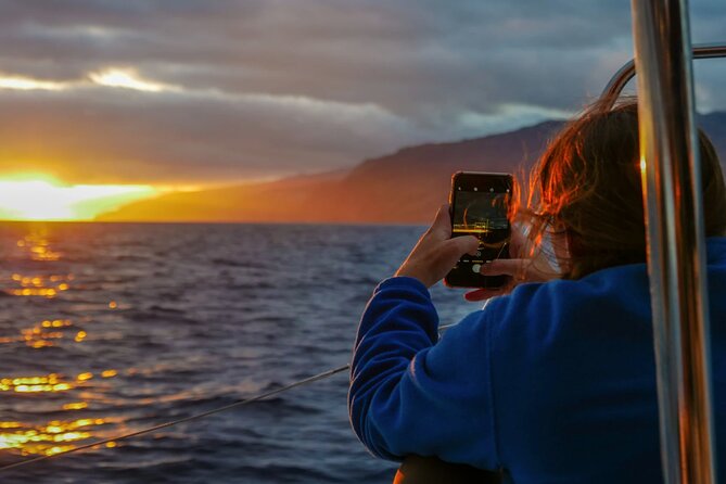 Sunset Catamaran Tour l Madeira Island - Key points to know before booking